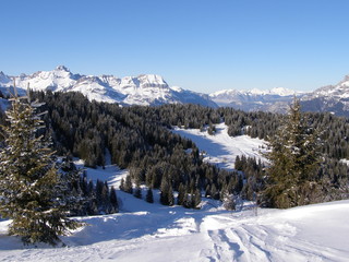 Fototapeta na wymiar Paysage montagne sous la neige