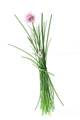 chives