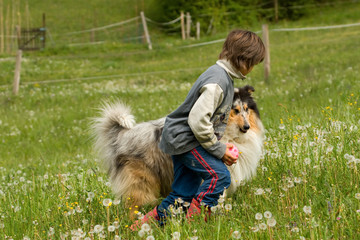 Boy and dog