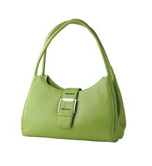CARTERA VERDE