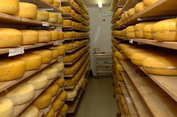 Kühlraum Käse beim Lagern