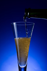 champagne on blue background