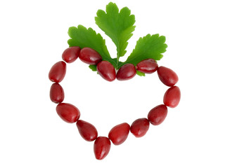 Symbol of heart from red berries on white