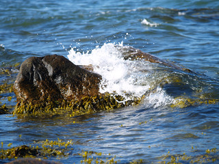 Welle bricht an Findling