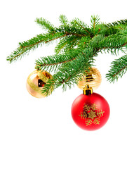 christmas ball hanging on a fur tree