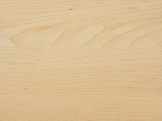 Fototapeta na wymiar Detail of maple tree wood