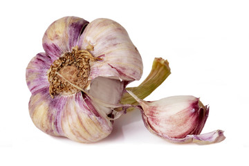 the garlic bulb and cloves over a white background