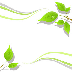 Leaves illustration