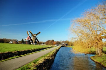 Fototapete Mühlen Holländische Windmühle in einem kleinen Dorf, Holland