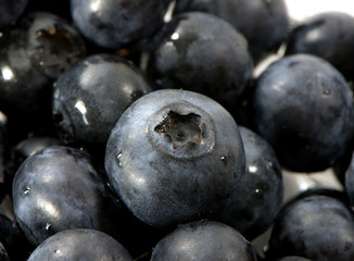 FRESH BLUEBERRIES