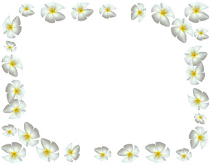 Naklejka na ściany i meble cadre avec des fleurs blanches de frangipanier
