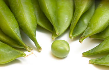Single pea and pods