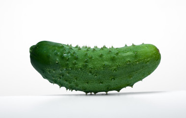 Fresh cucumber on white background