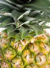 Fototapeta premium close-up part of pineapple