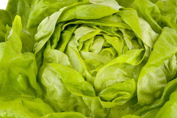 Green fresh salad