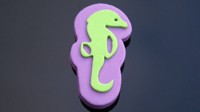 Seahorse