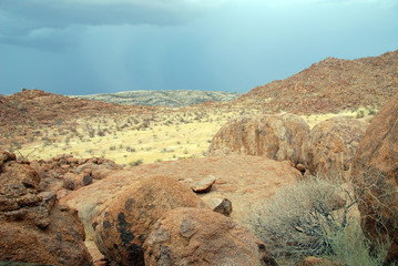 Obraz premium Namibia - Savana