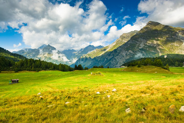 Fototapeta premium Scenic view at Maloja