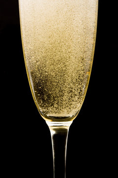Flute with sparkling champagne against black background.