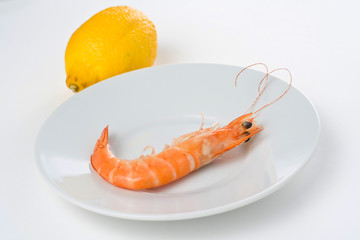 delicious fresh cooked shrimp prepared