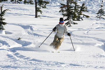 Alpine woman skier