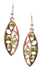 Pair of earrings isolated on the white background