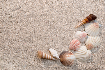 Fototapeta na wymiar Frame of sea shells on sand