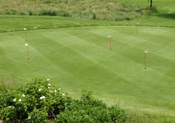 Fototapeta premium Putting Green