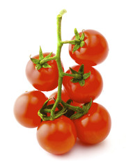 Ripe tomatoes