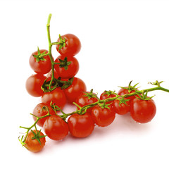 Ripe tomatoes