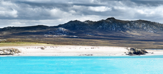 Falklands Coastline