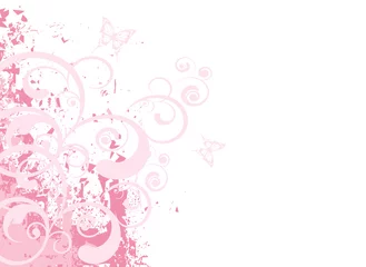 Photo sur Plexiglas Papillons en grunge arabesque grunge rose et papillons