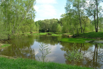 Tranquillity on the small river in Russia countryside