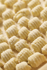 italian homemade gnocchi shallow DOF