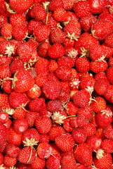 Strawberry background