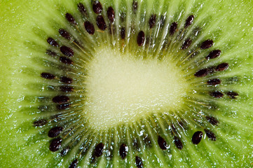 kiwi fruit macro © PaulPaladin