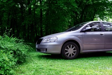 car in a park