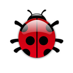 Obraz premium Bug icon