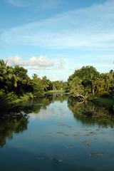 Scenic Residential Canal in Miami