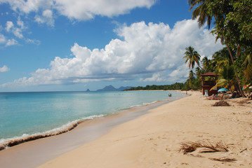 Martinique - plage des Salines