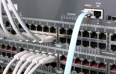 A shot of network cables connected to a switch