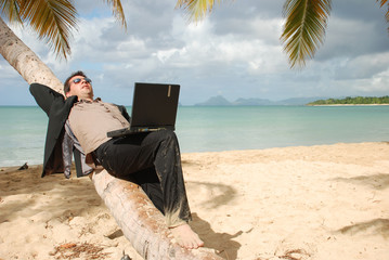 Business aux Caraïbes - Homme avec son ordinateur sur un cocotie