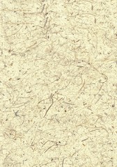 Papier, Hintergrund