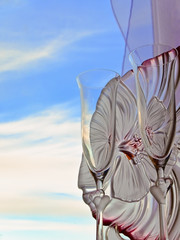 wedding champagne glasses