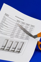 Cutting Expenses