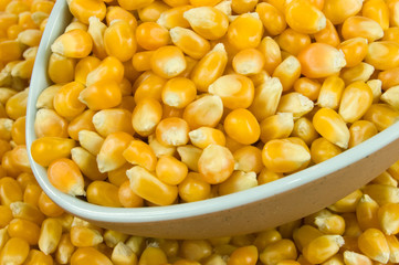 Popcorn Kernels