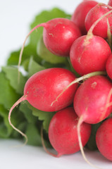 Fresh Radish