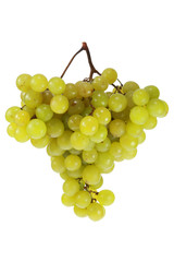 Green grapes.