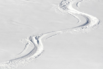 Skispuren im Pulverschnee