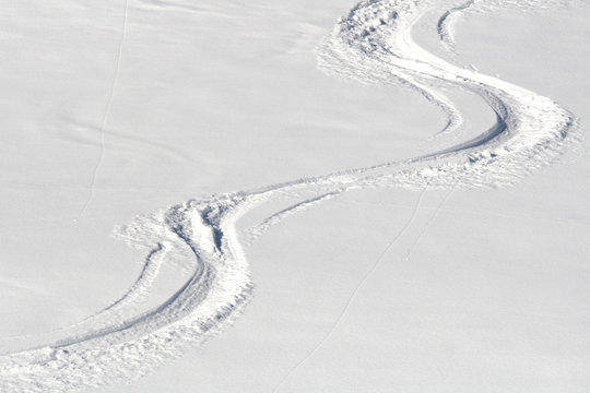 Skispuren im Pulverschnee